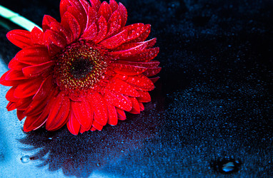 Similar image 5940888