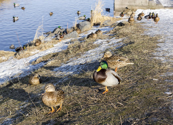 Similar image 5940928