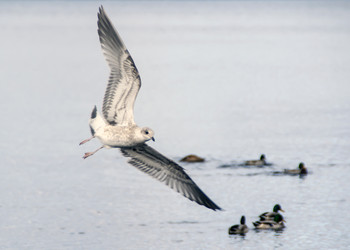 Similar image 5940929