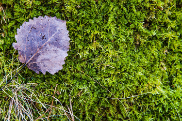 Similar image 5940939