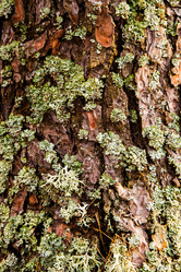 Similar image 5940940