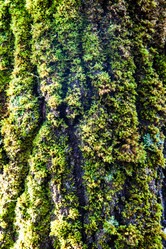 Similar image 5940941