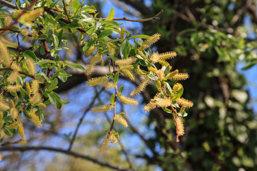 Similar image 5940955