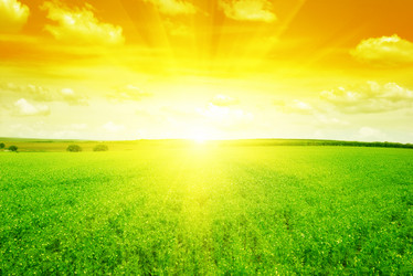 Similar image 5940971