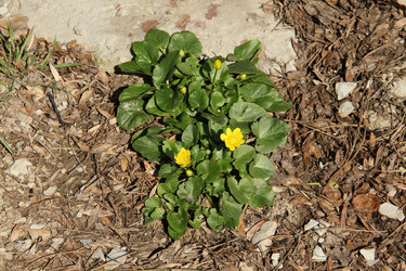 Similar image 5941442