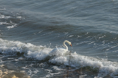 Similar image 5941502