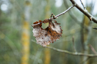 Similar image 5941712