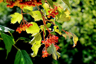 Similar image 5941714