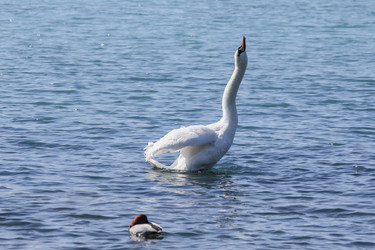 Similar image 5941715