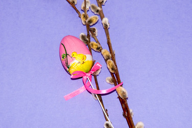 Similar image 5941725