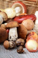 Similar image 5941738