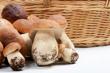 Similar image 5941739