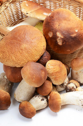 Similar image 5941740