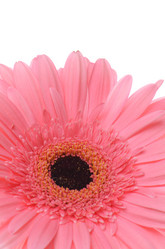 Similar image 5941802