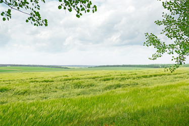 Similar image 5941866