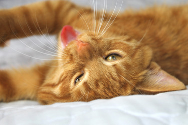 Similar image 5941870