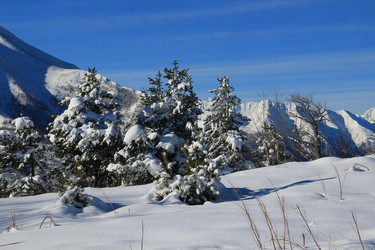 Similar image 5941929