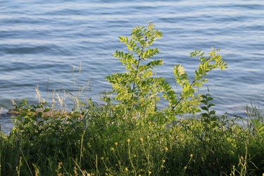 Similar image 5941930