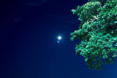 Similar image 5942050