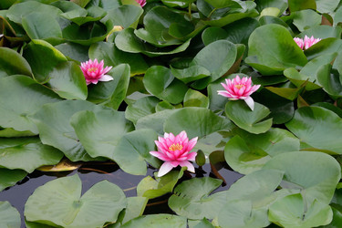 Similar image 5942051