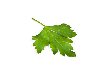 Similar image 5942055