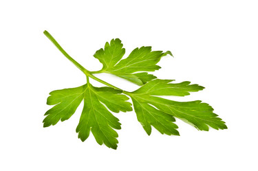 Similar image 5942056