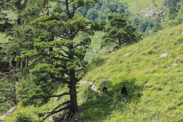 Similar image 5942061