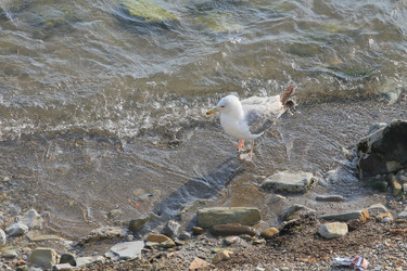 Similar image 5942065