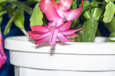 Similar image 5942129