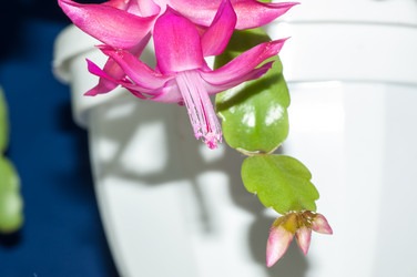 Similar image 5942130