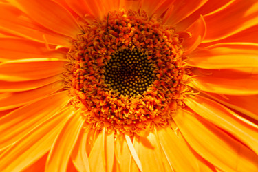 Similar image 5942133