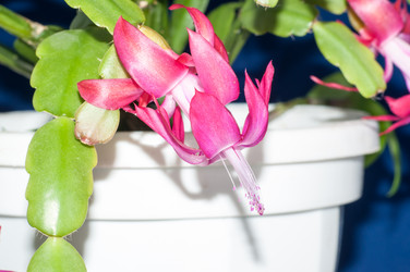 Similar image 5942154