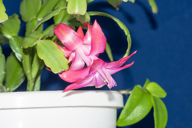 Similar image 5942156