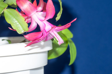 Similar image 5942157