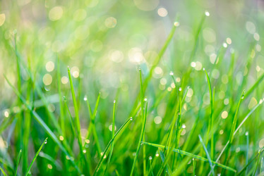 Similar image 5942225