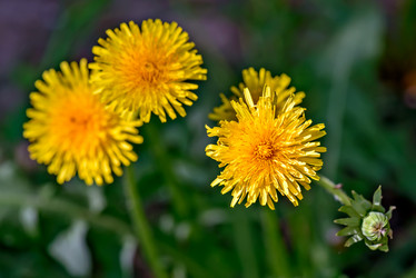 Similar image 5942226