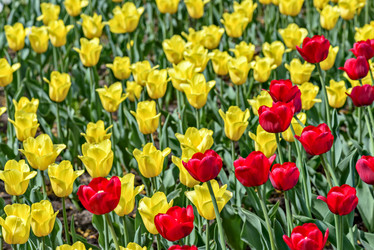 Similar image 5942275