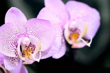 Similar image 5942375