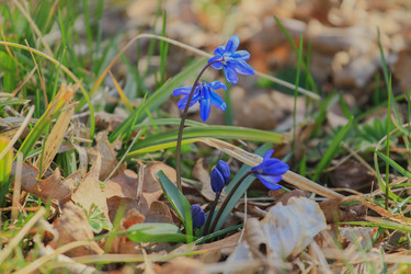 Similar image 5942409