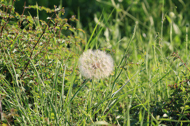 Similar image 5942410