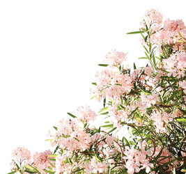 Similar image 5942417