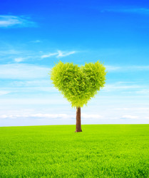 Similar image 5942420