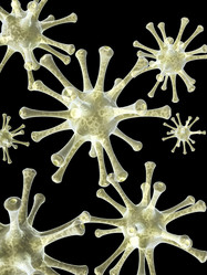 Similar image 5942423