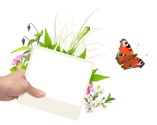 Similar image 5942435