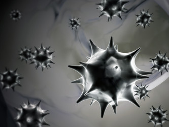 Similar image 5942449