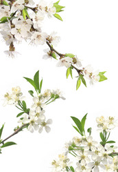 Similar image 5942451