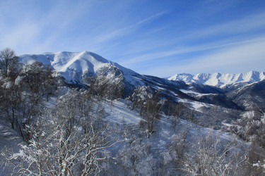 Similar image 5942469