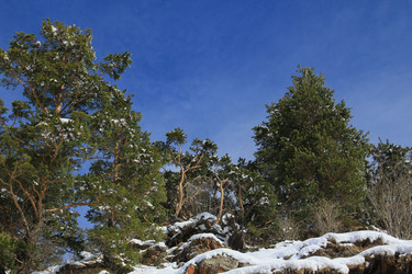 Similar image 5942470