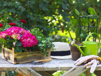 Similar image 5942541