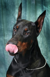 Similar image 5942563